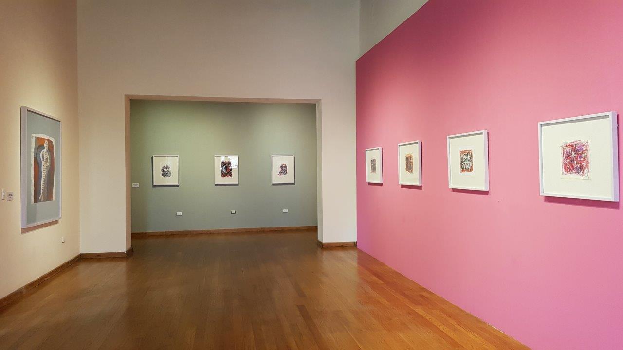 Museo Guillermo Ceniceros (3)