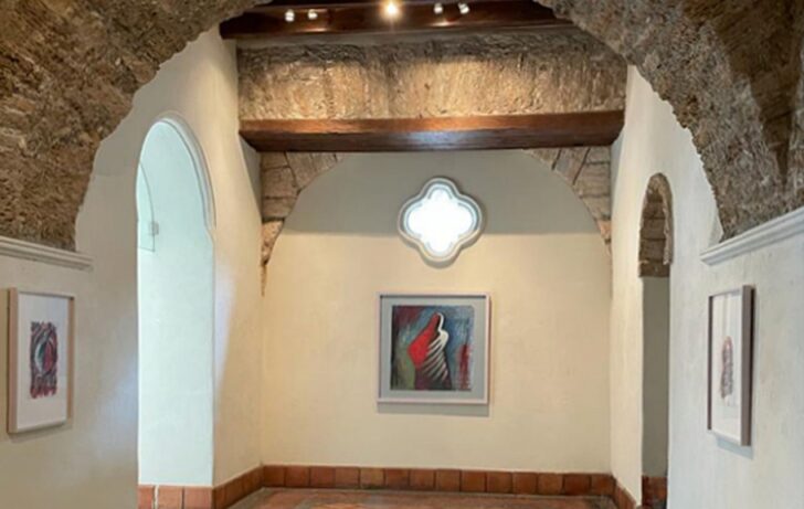 Galleria dell'Accademia Interamericana dei Diritti Umani di Saltillo 4